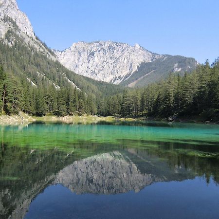 Herzogberghof Kindberg Zewnętrze zdjęcie