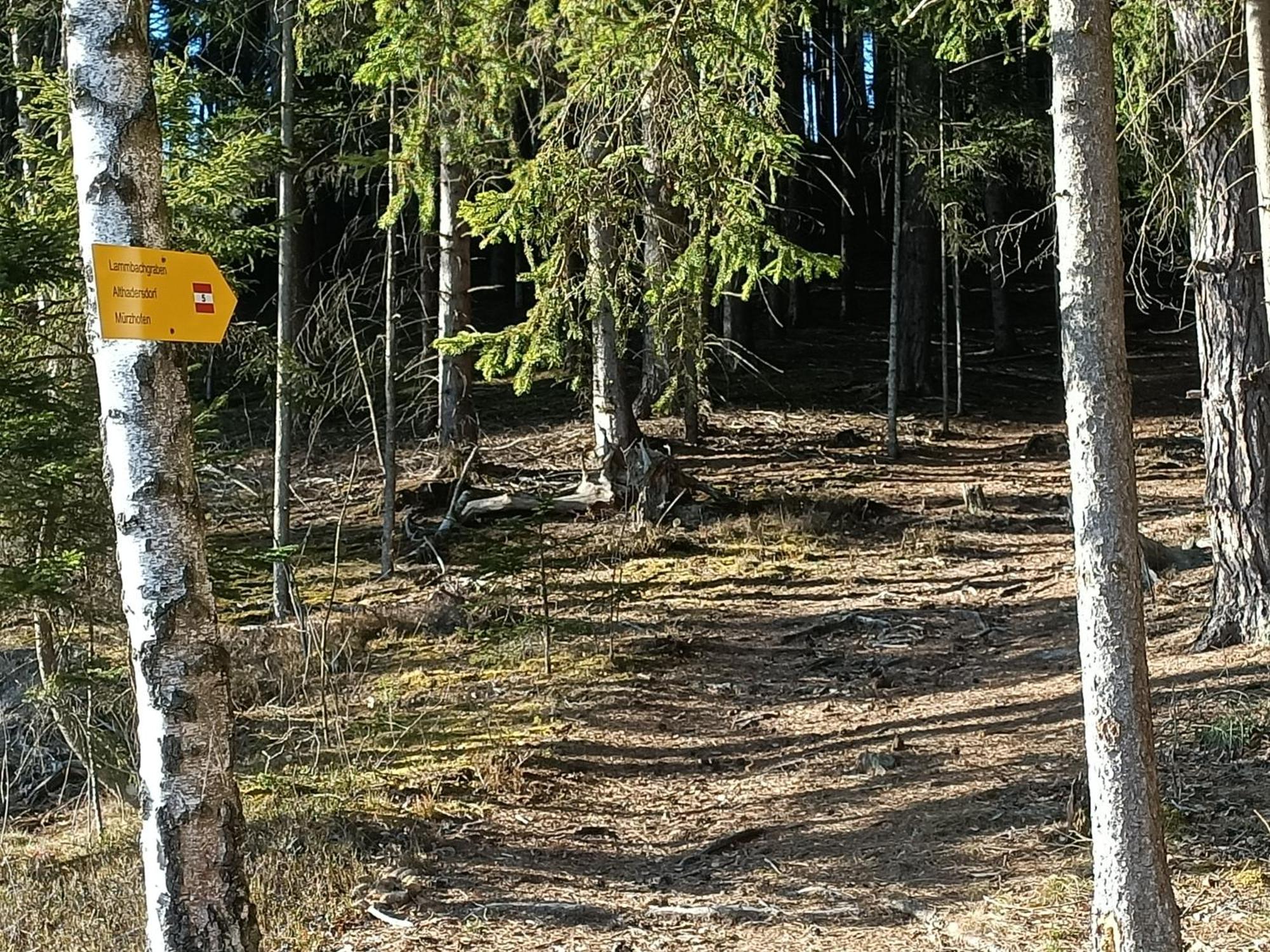Herzogberghof Kindberg Zewnętrze zdjęcie